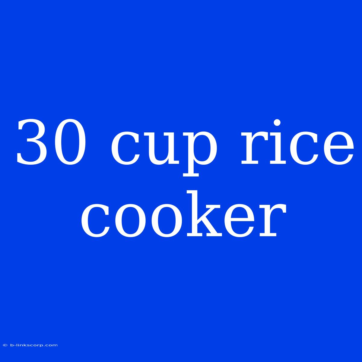 30 Cup Rice Cooker