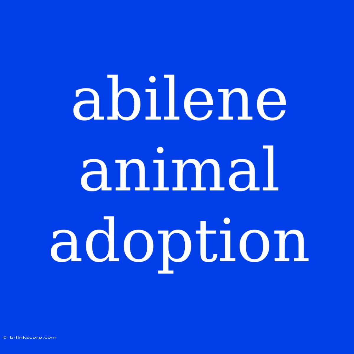 Abilene Animal Adoption