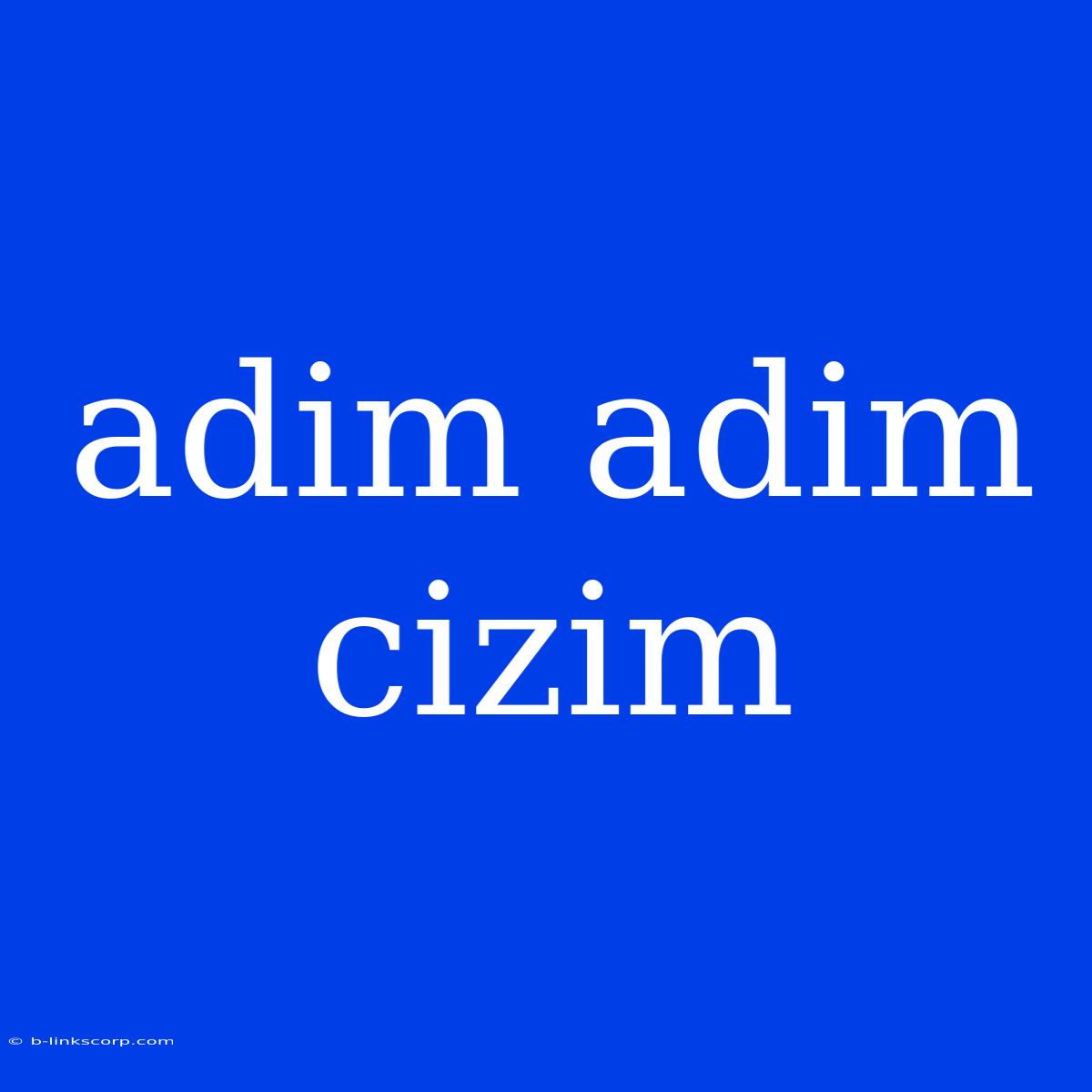 Adim Adim Cizim