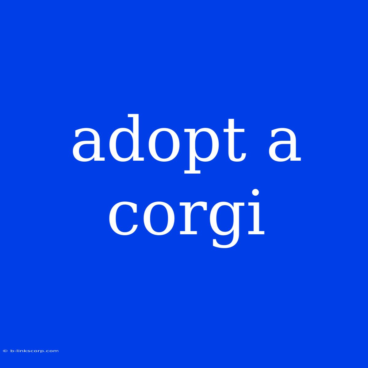 Adopt A Corgi