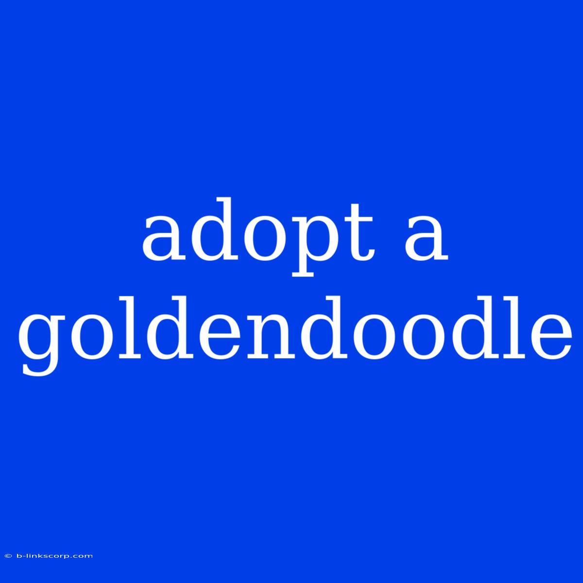 Adopt A Goldendoodle