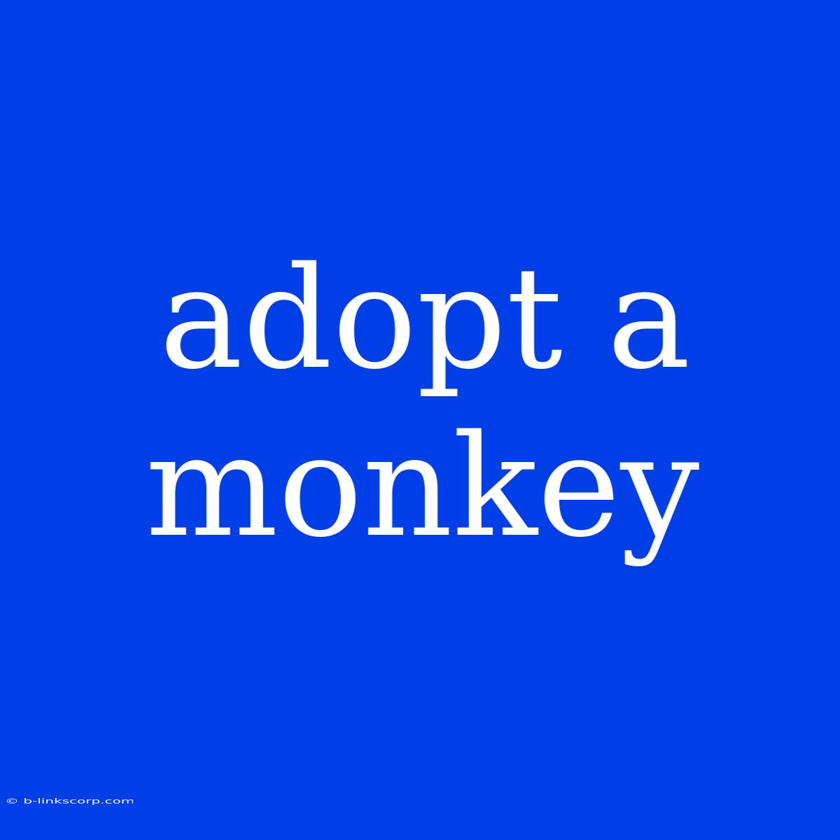 Adopt A Monkey