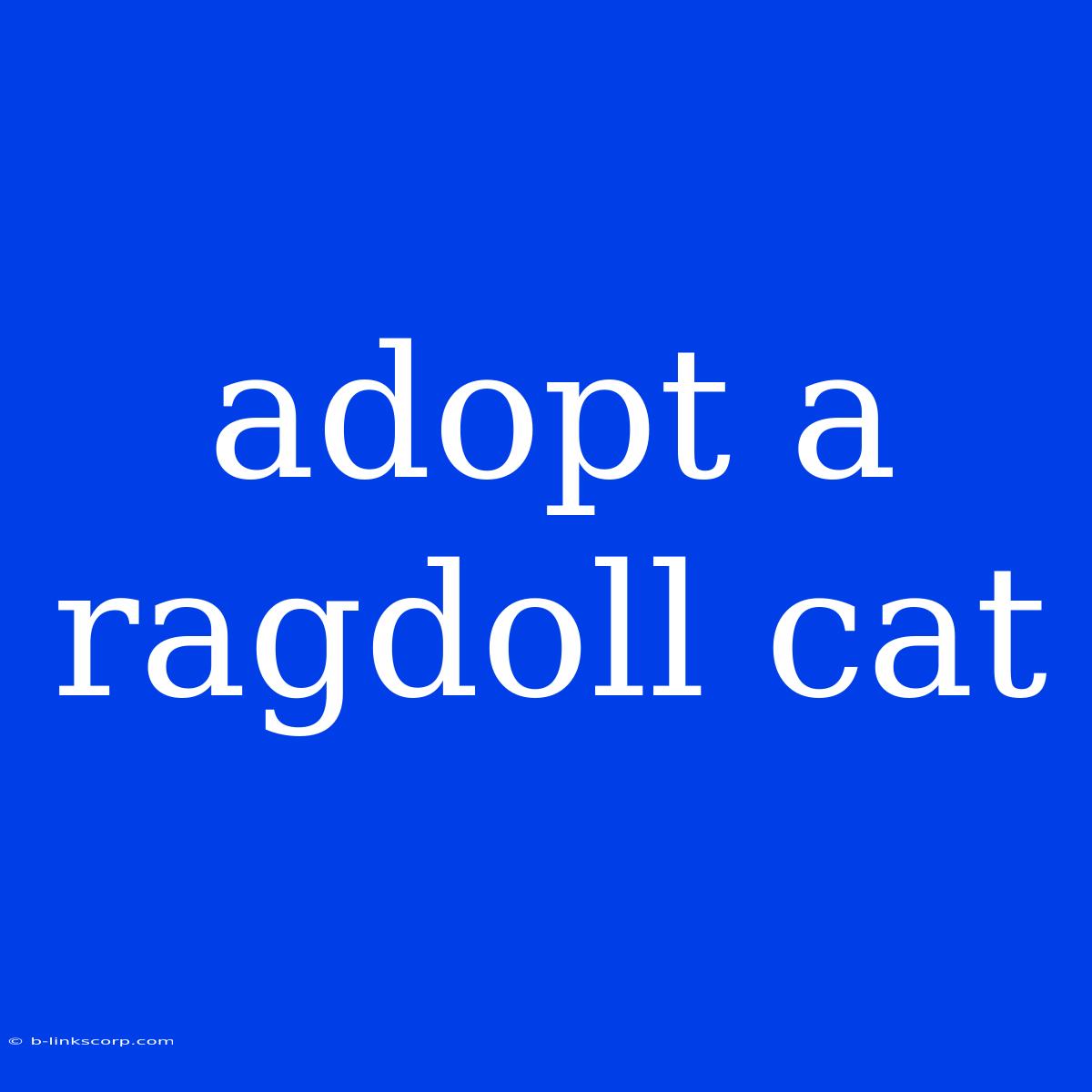 Adopt A Ragdoll Cat