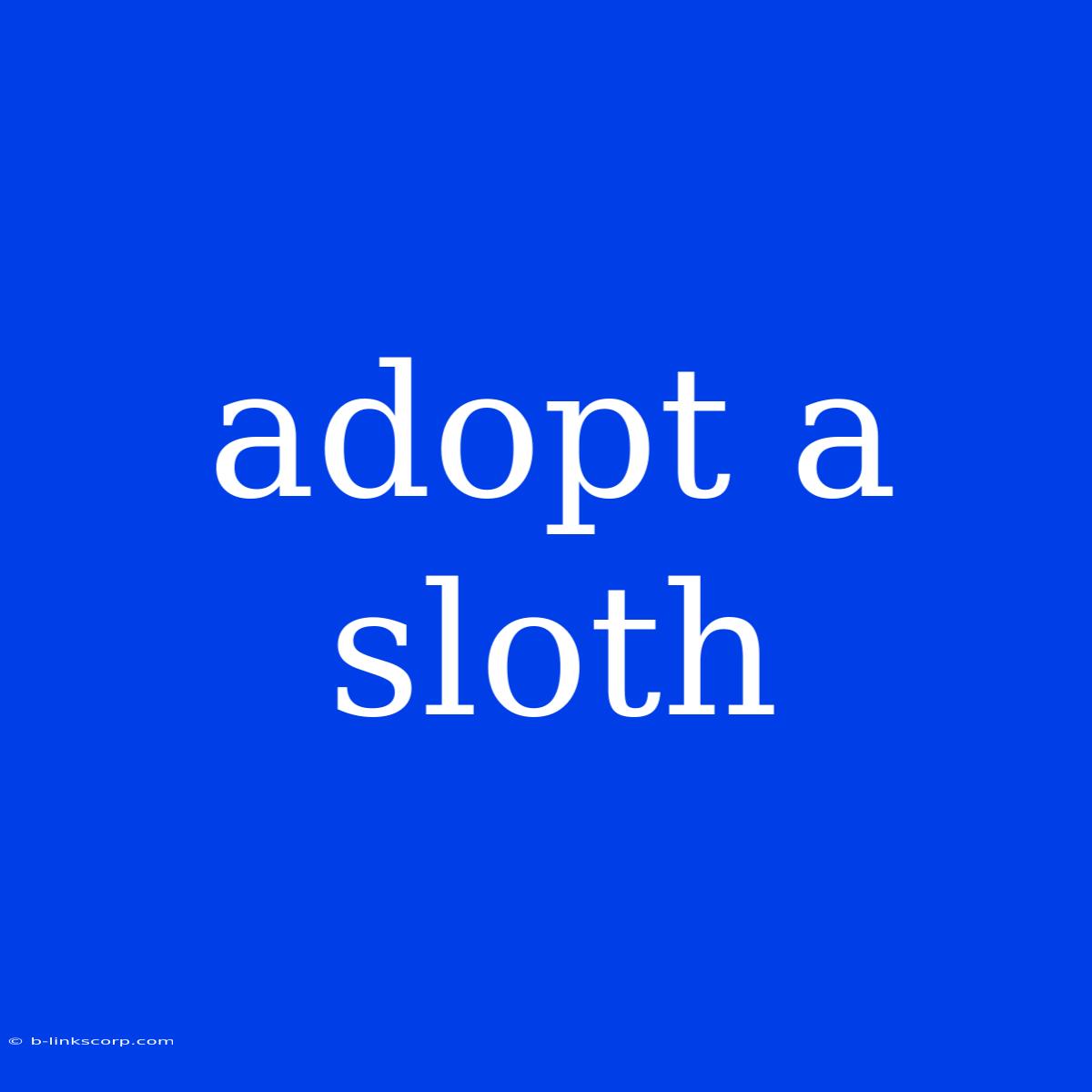 Adopt A Sloth