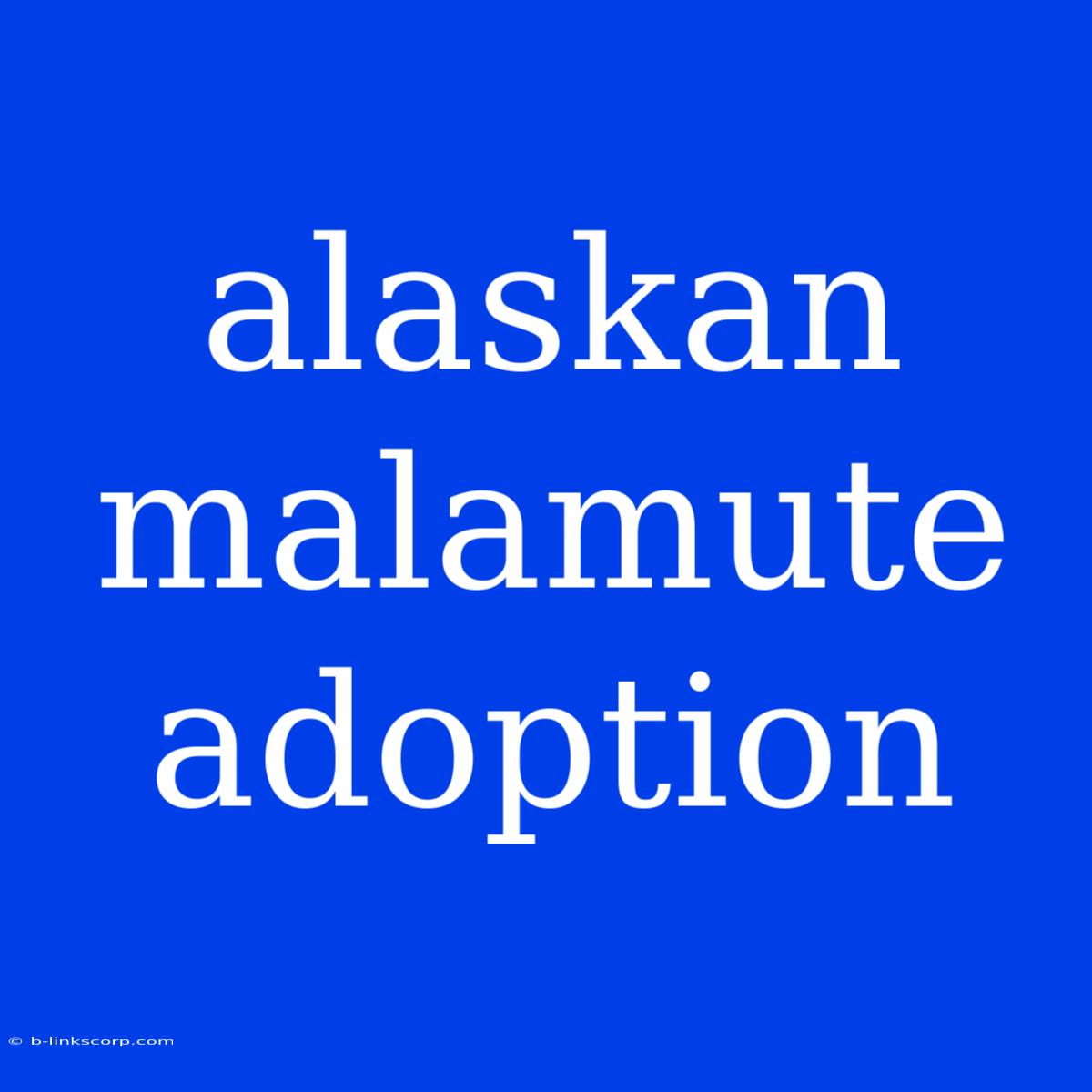 Alaskan Malamute Adoption