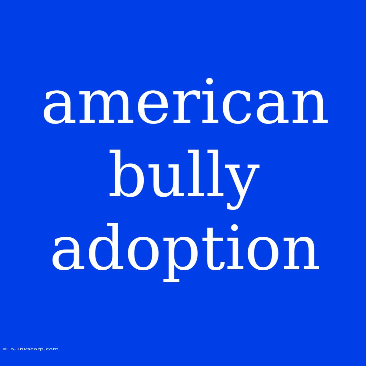 American Bully Adoption