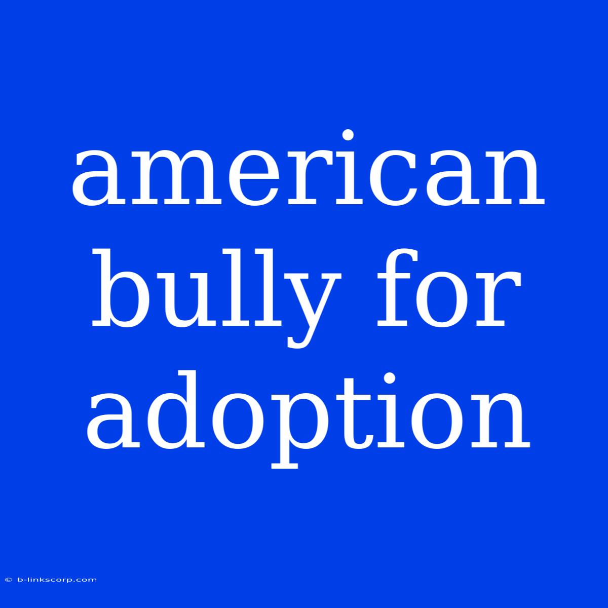 American Bully For Adoption