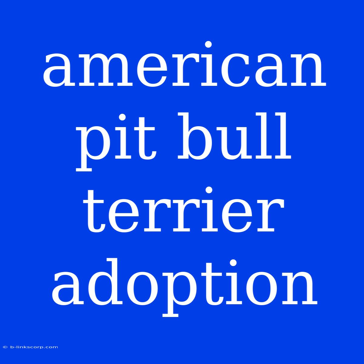 American Pit Bull Terrier Adoption