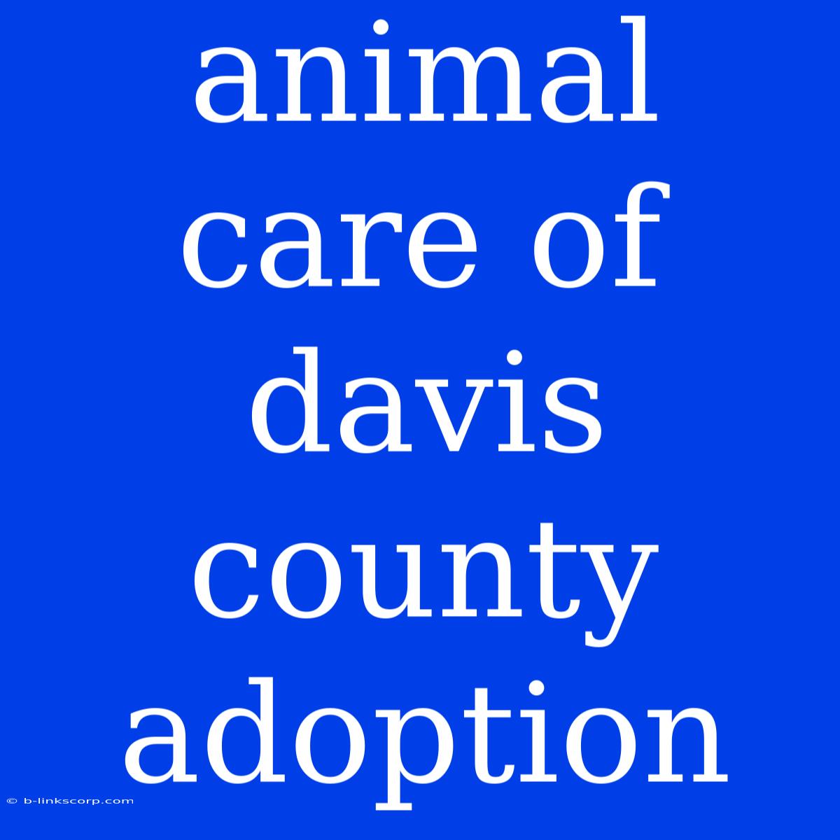 Animal Care Of Davis County Adoption