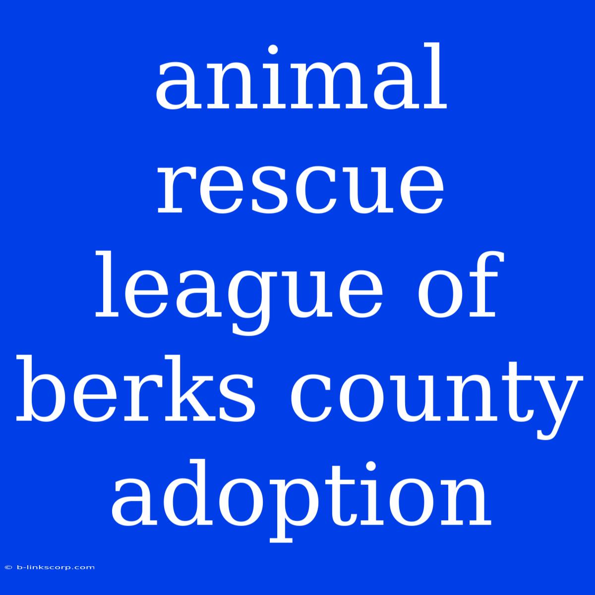 Animal Rescue League Of Berks County Adoption