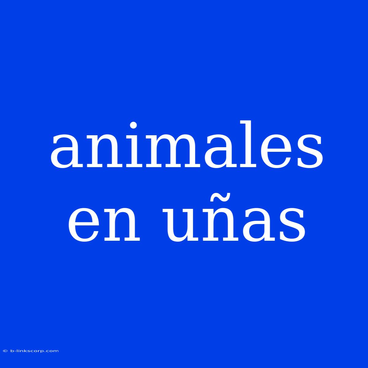 Animales En Uñas