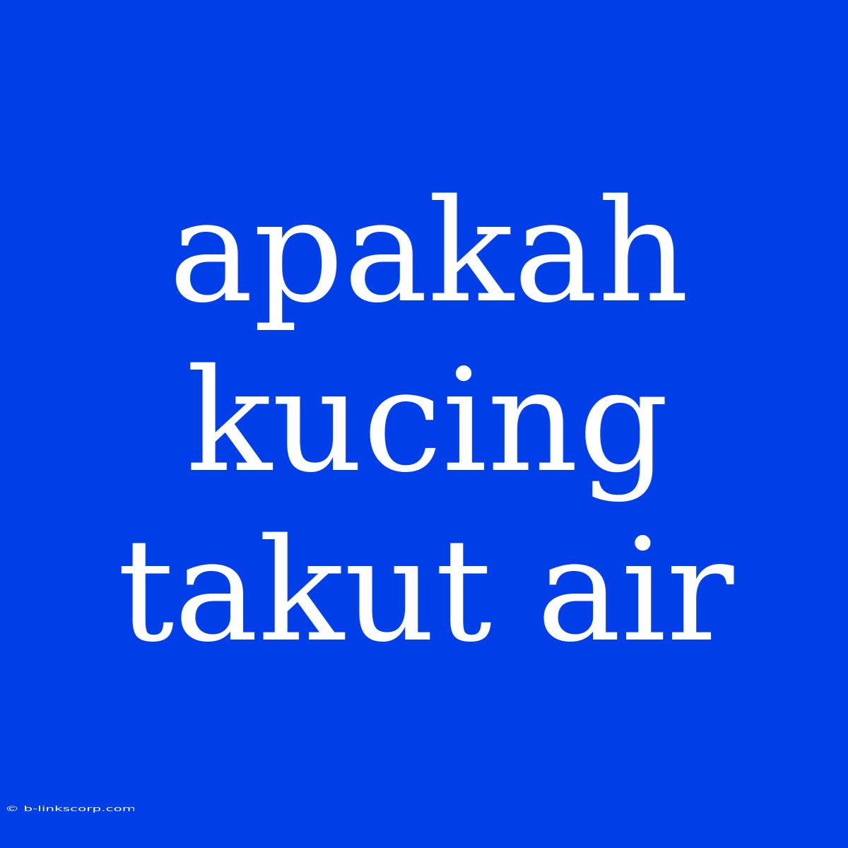 Apakah Kucing Takut Air