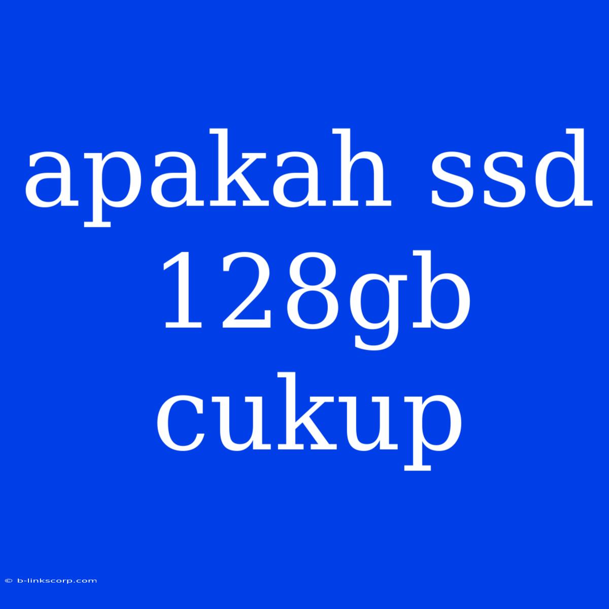 Apakah Ssd 128gb Cukup