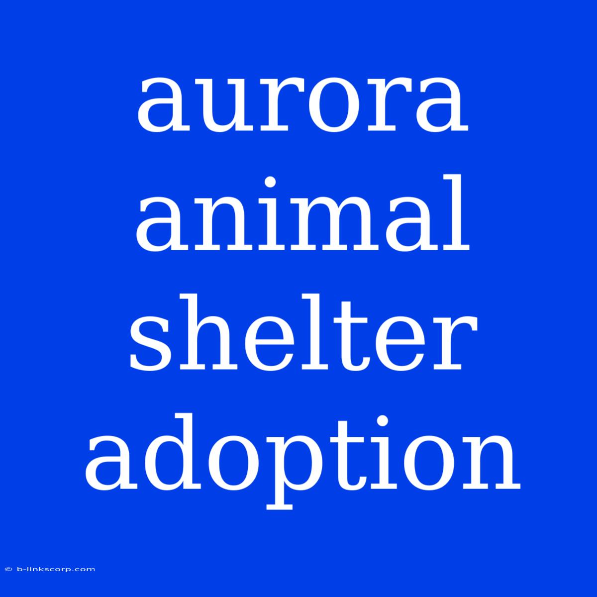 Aurora Animal Shelter Adoption