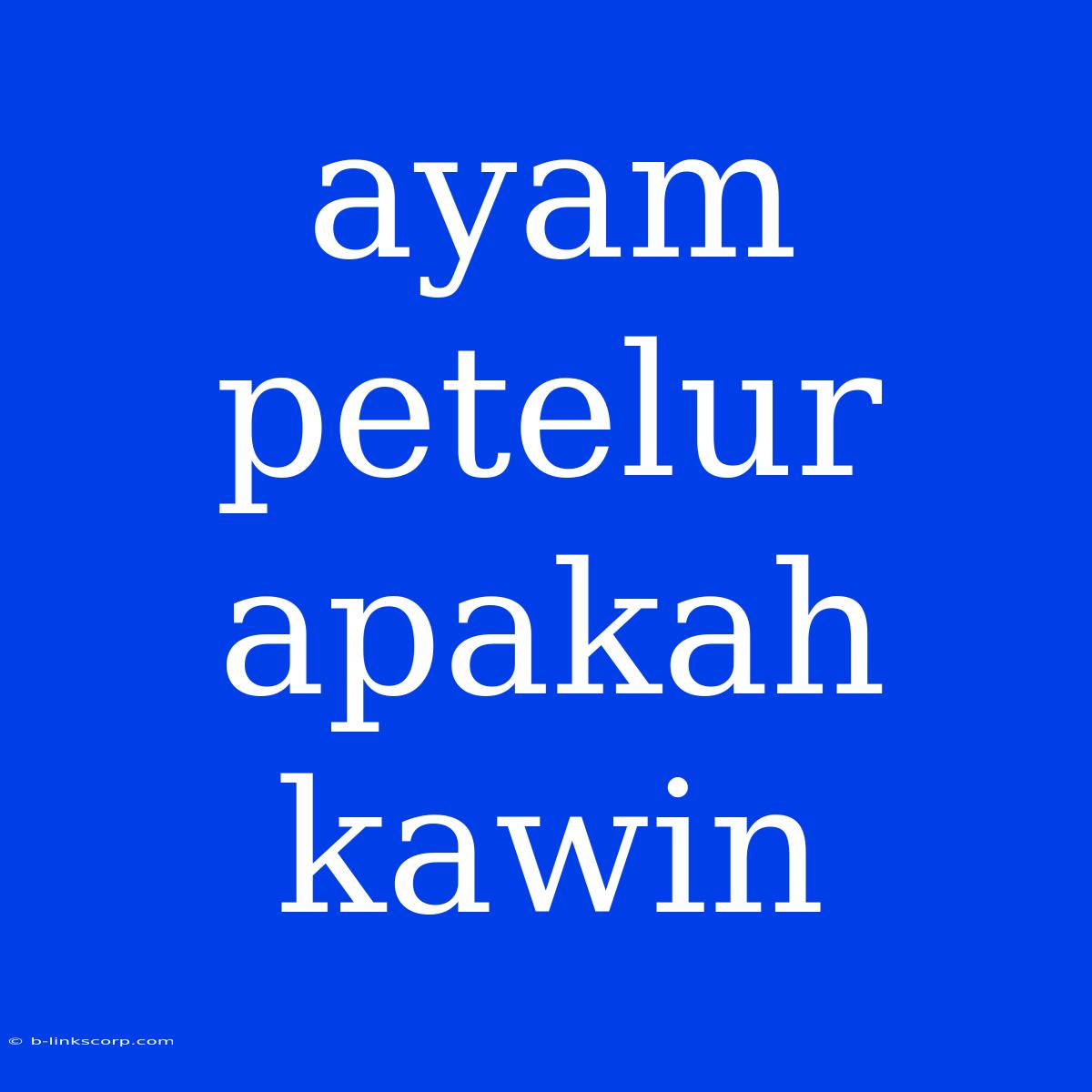 Ayam Petelur Apakah Kawin