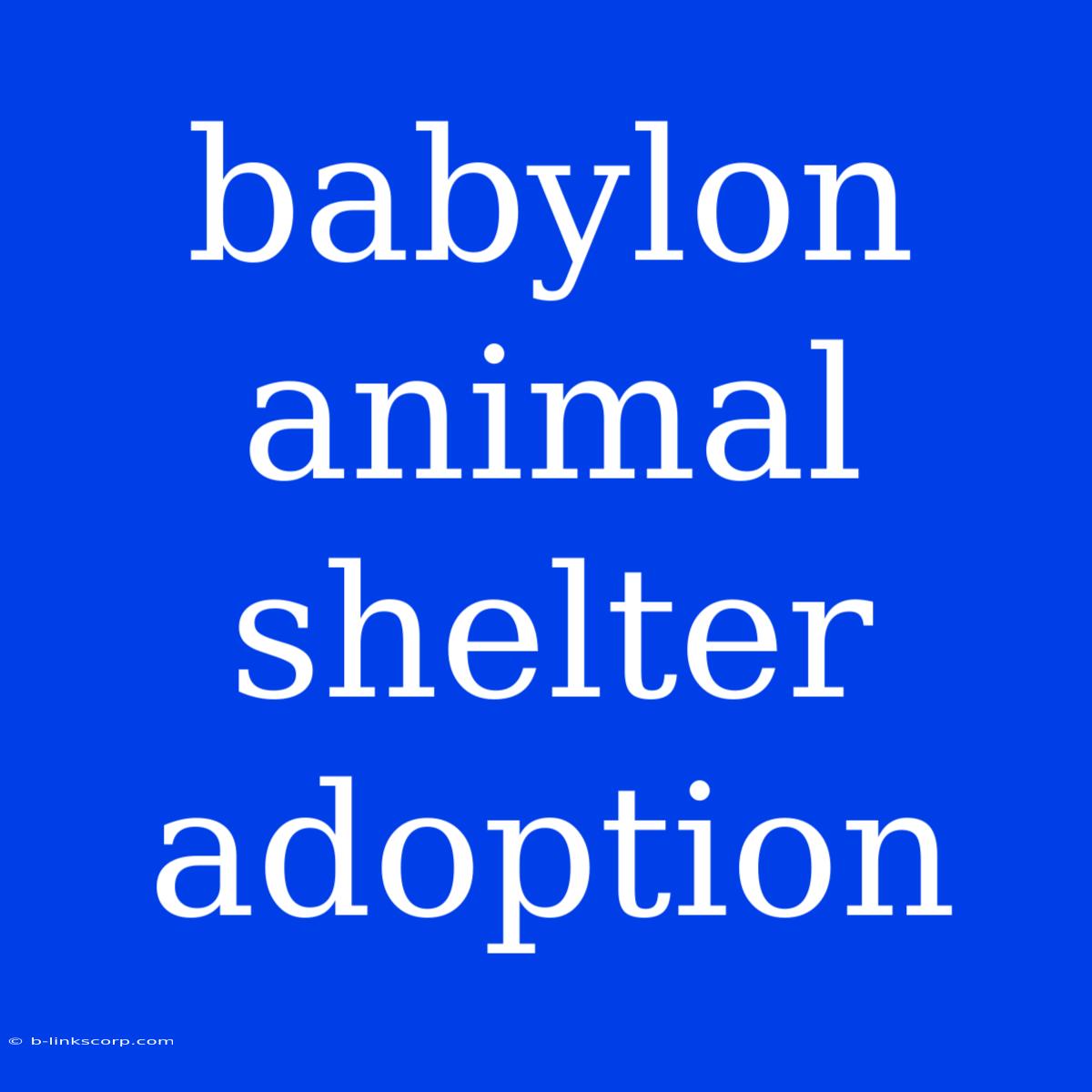 Babylon Animal Shelter Adoption