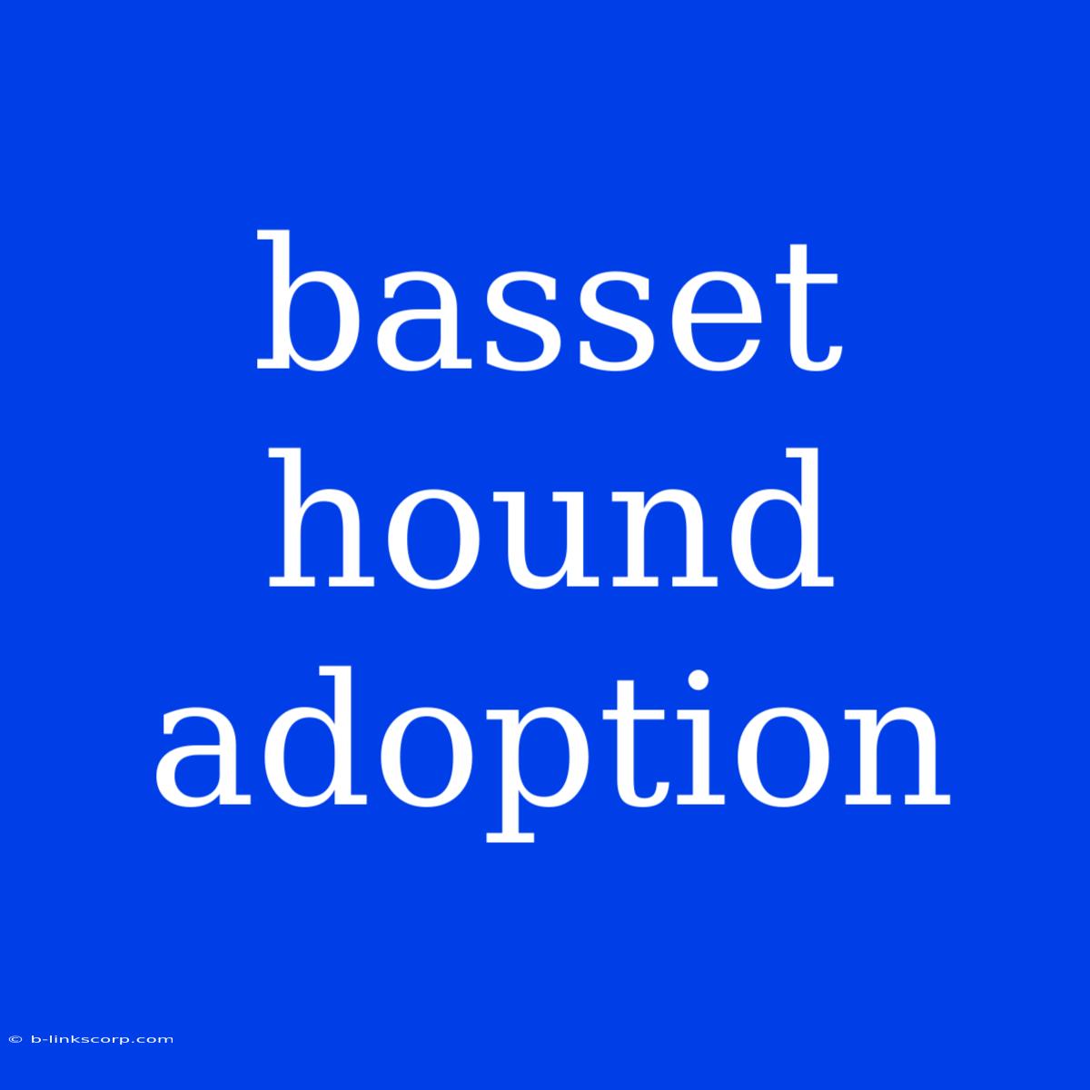 Basset Hound Adoption