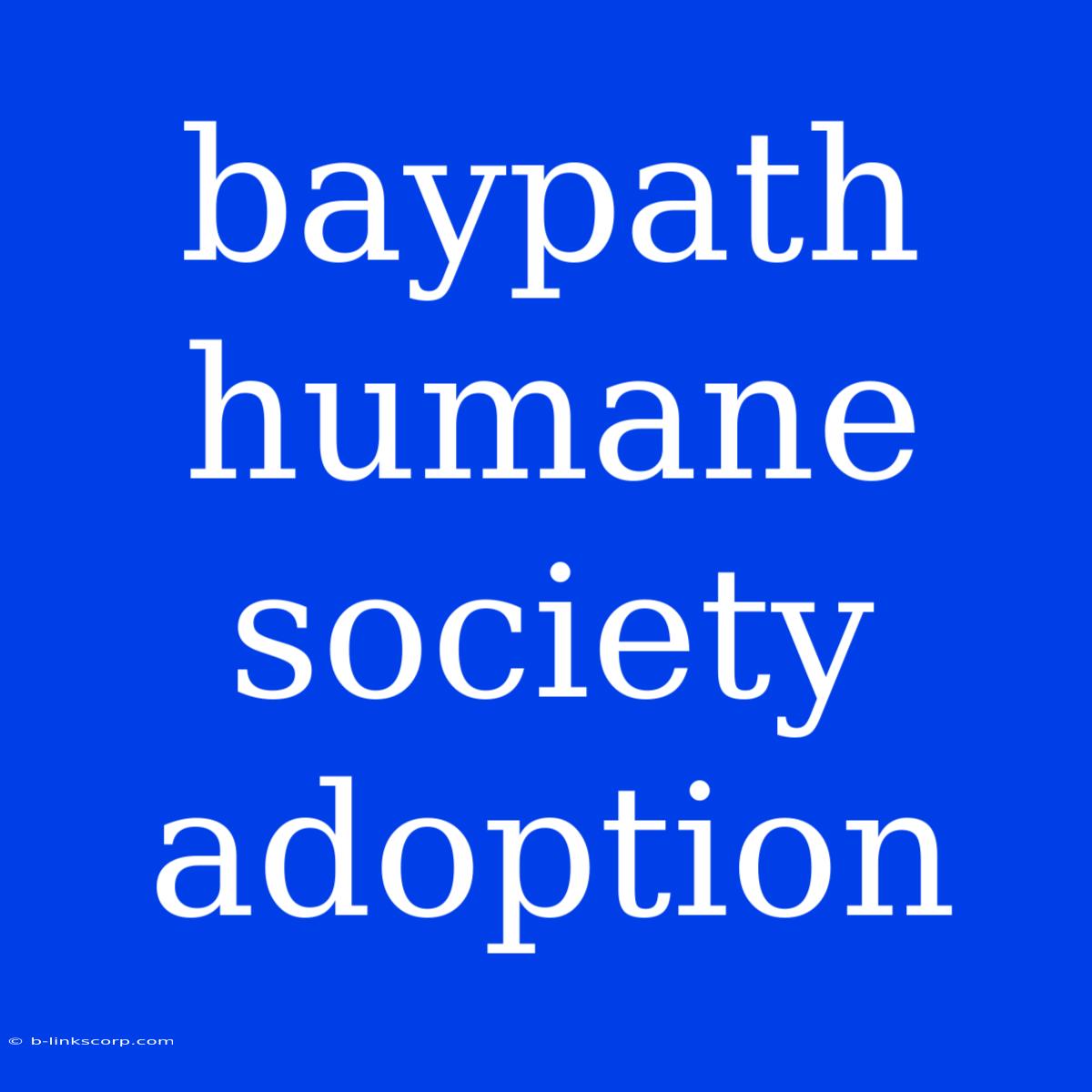 Baypath Humane Society Adoption