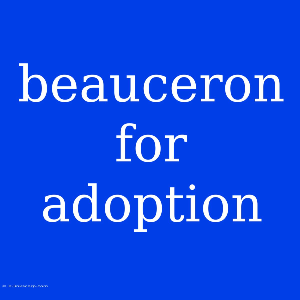 Beauceron For Adoption