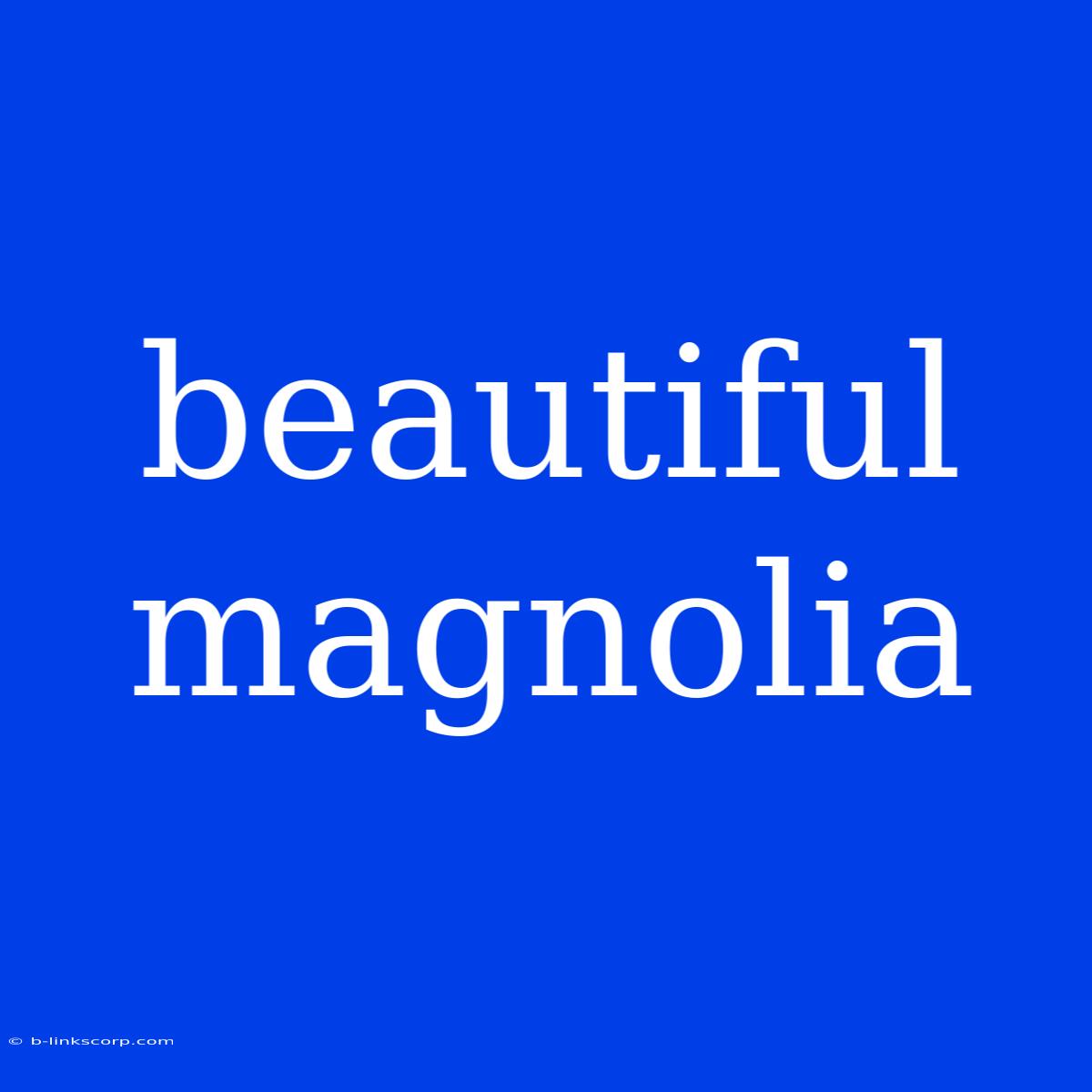 Beautiful Magnolia