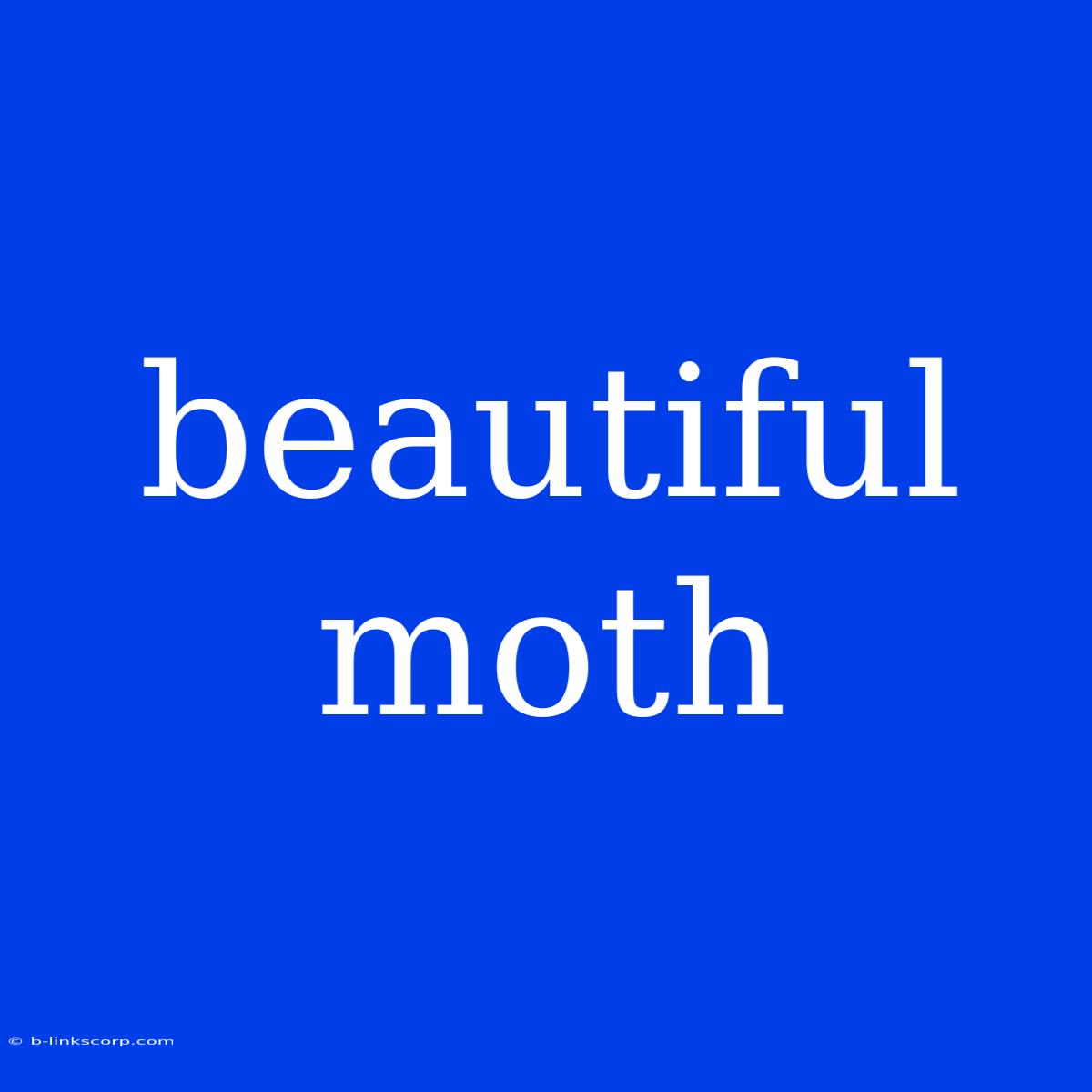 Beautiful Moth