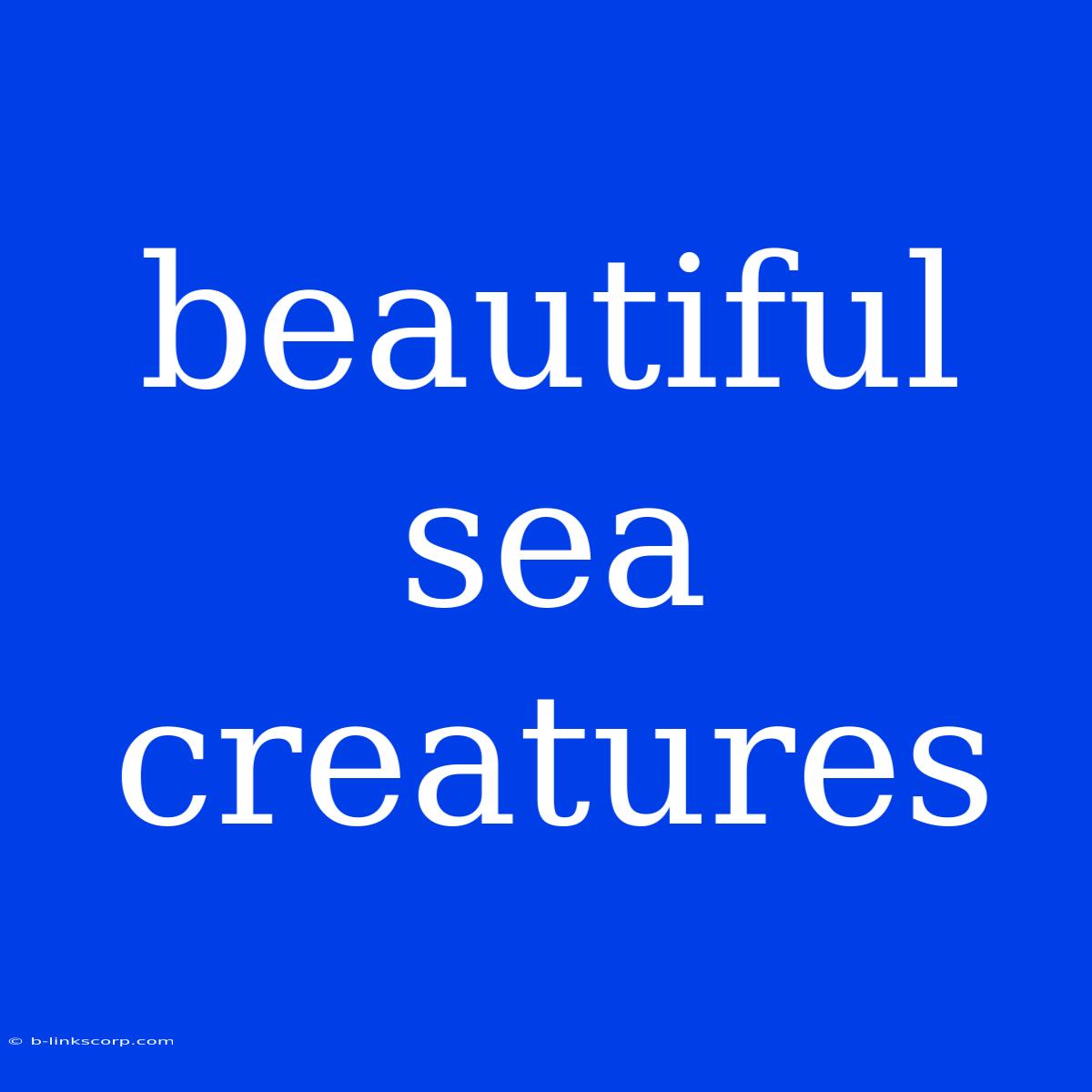 Beautiful Sea Creatures