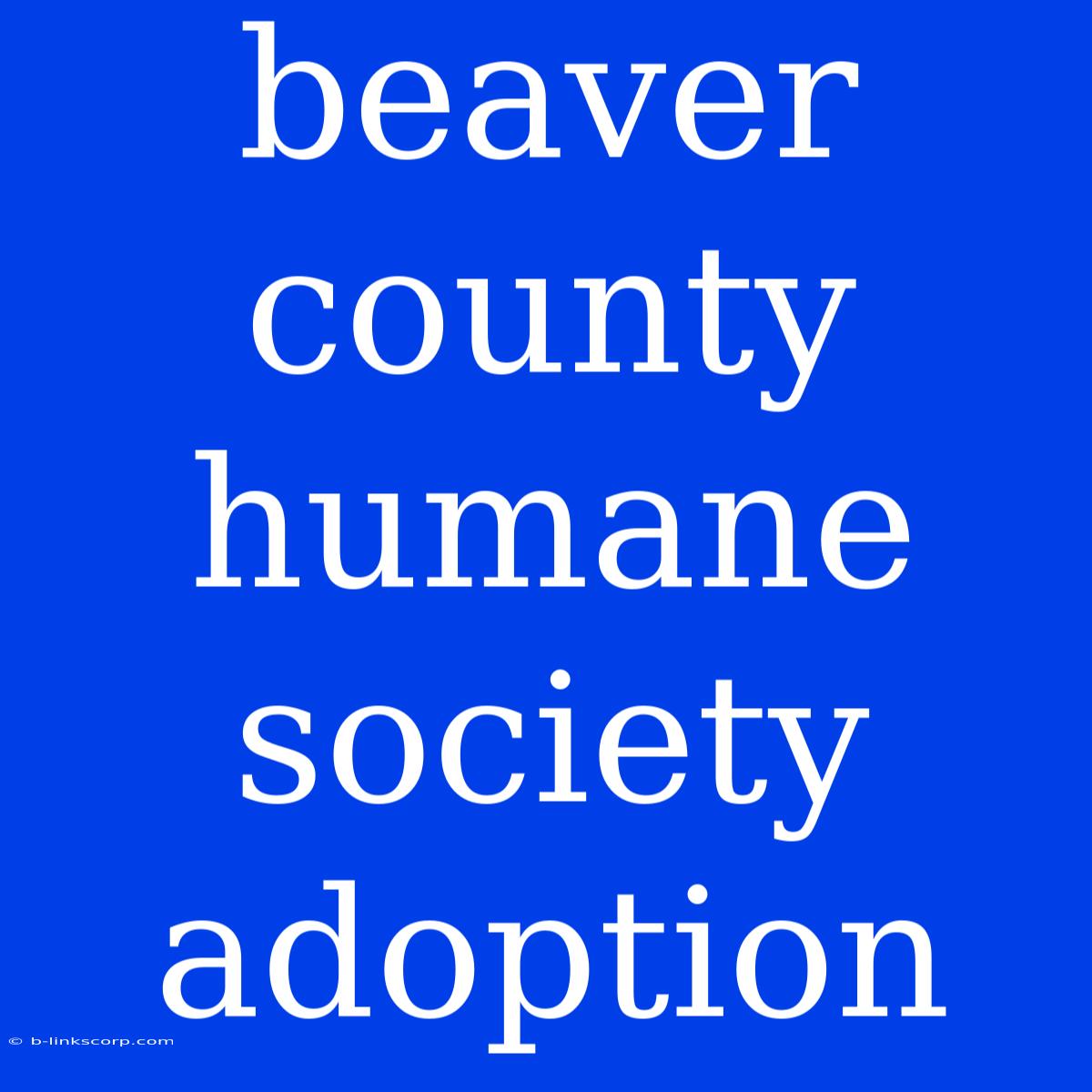 Beaver County Humane Society Adoption