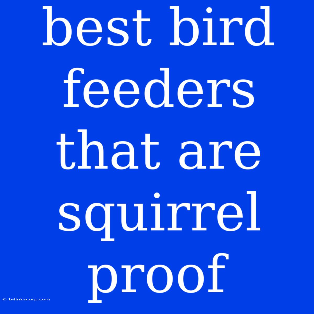 Best Bird Feeders That Are Squirrel Proof