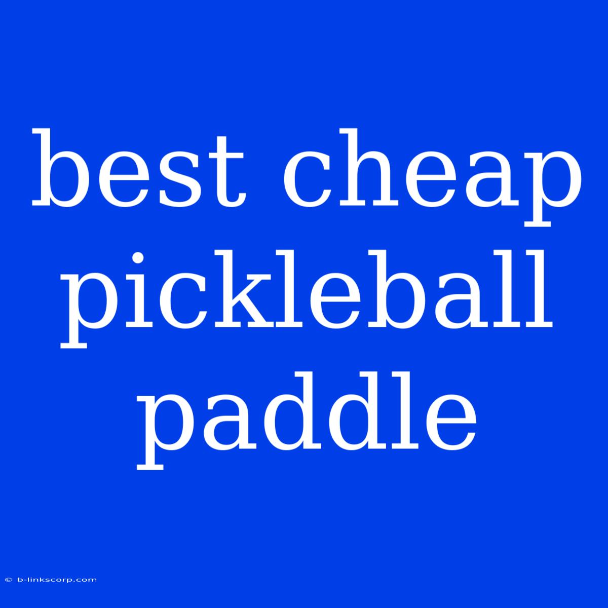 Best Cheap Pickleball Paddle