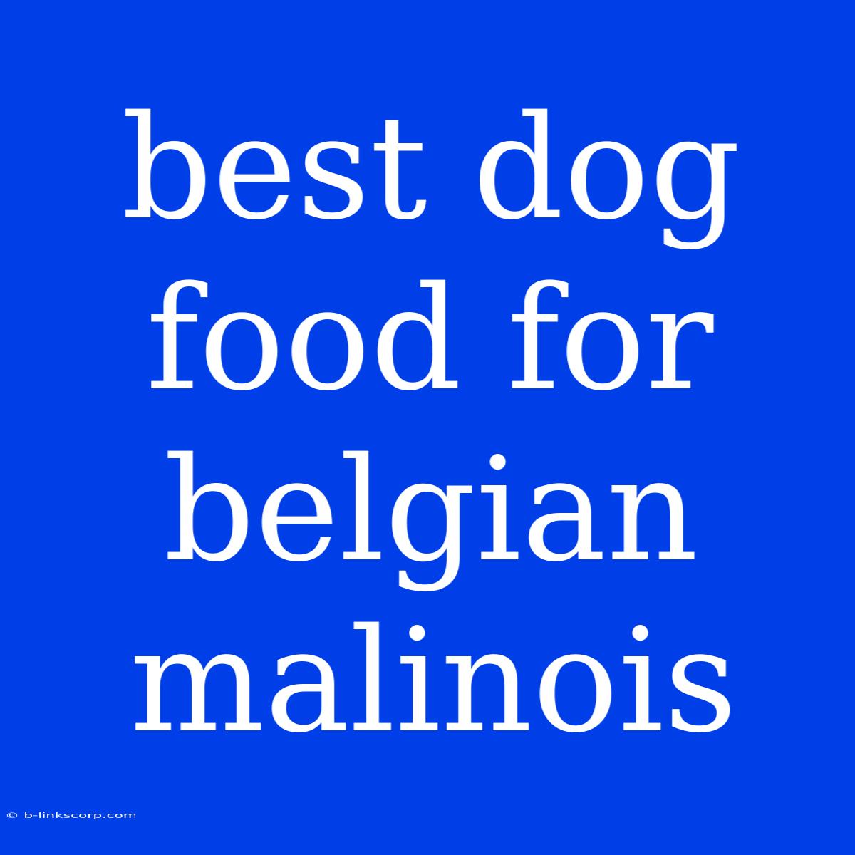 Best Dog Food For Belgian Malinois