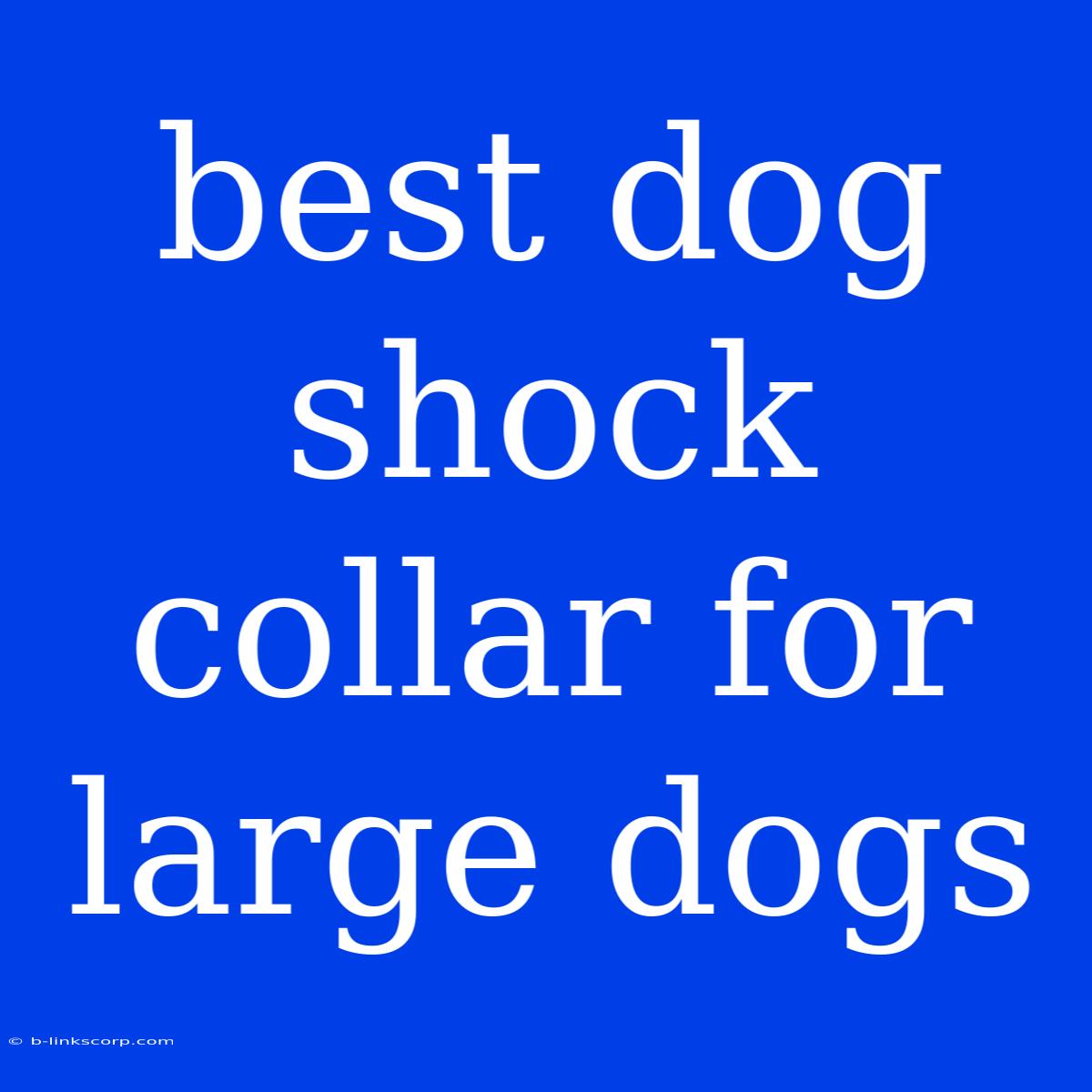 Best Dog Shock Collar For Large Dogs