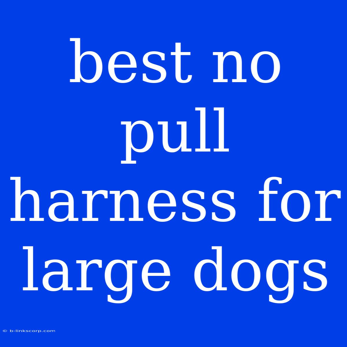 Best No Pull Harness For Large Dogs