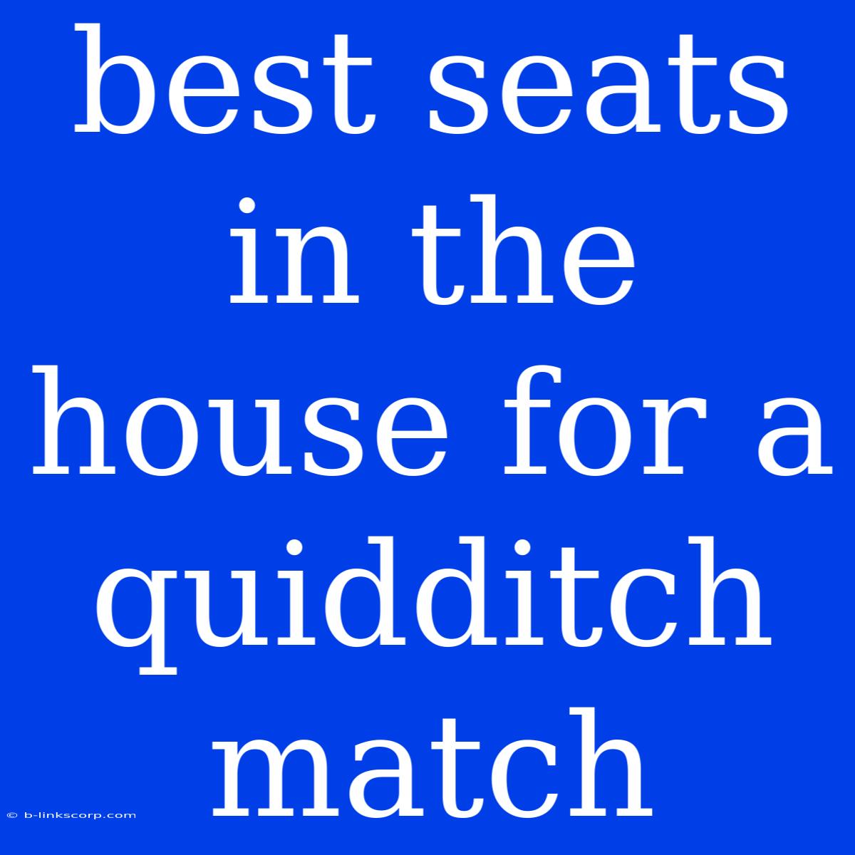 Best Seats In The House For A Quidditch Match