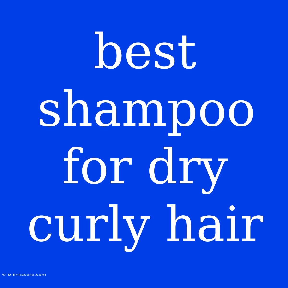 Best Shampoo For Dry Curly Hair