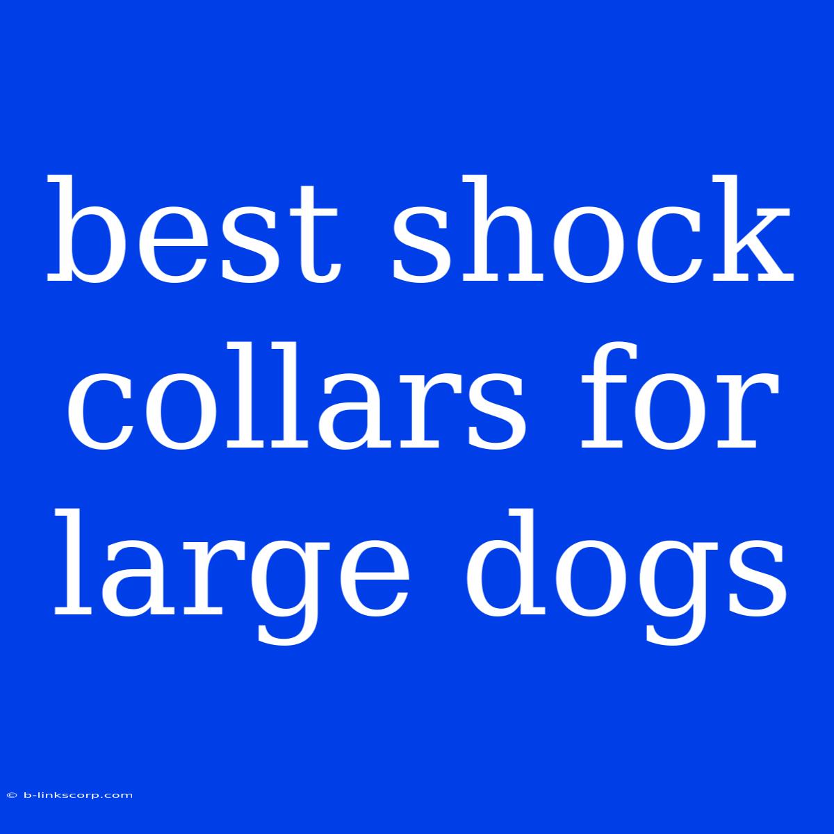 Best Shock Collars For Large Dogs