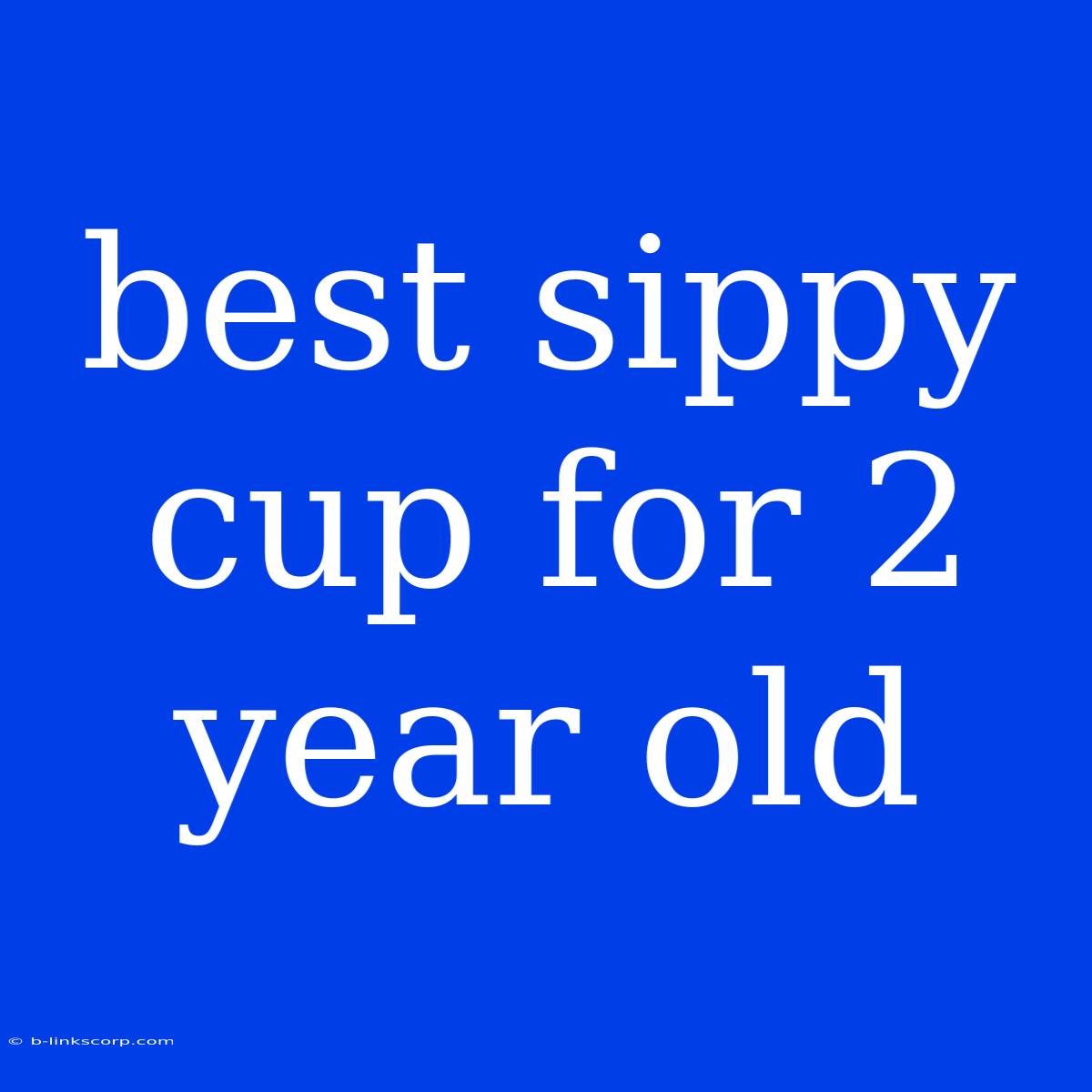 Best Sippy Cup For 2 Year Old