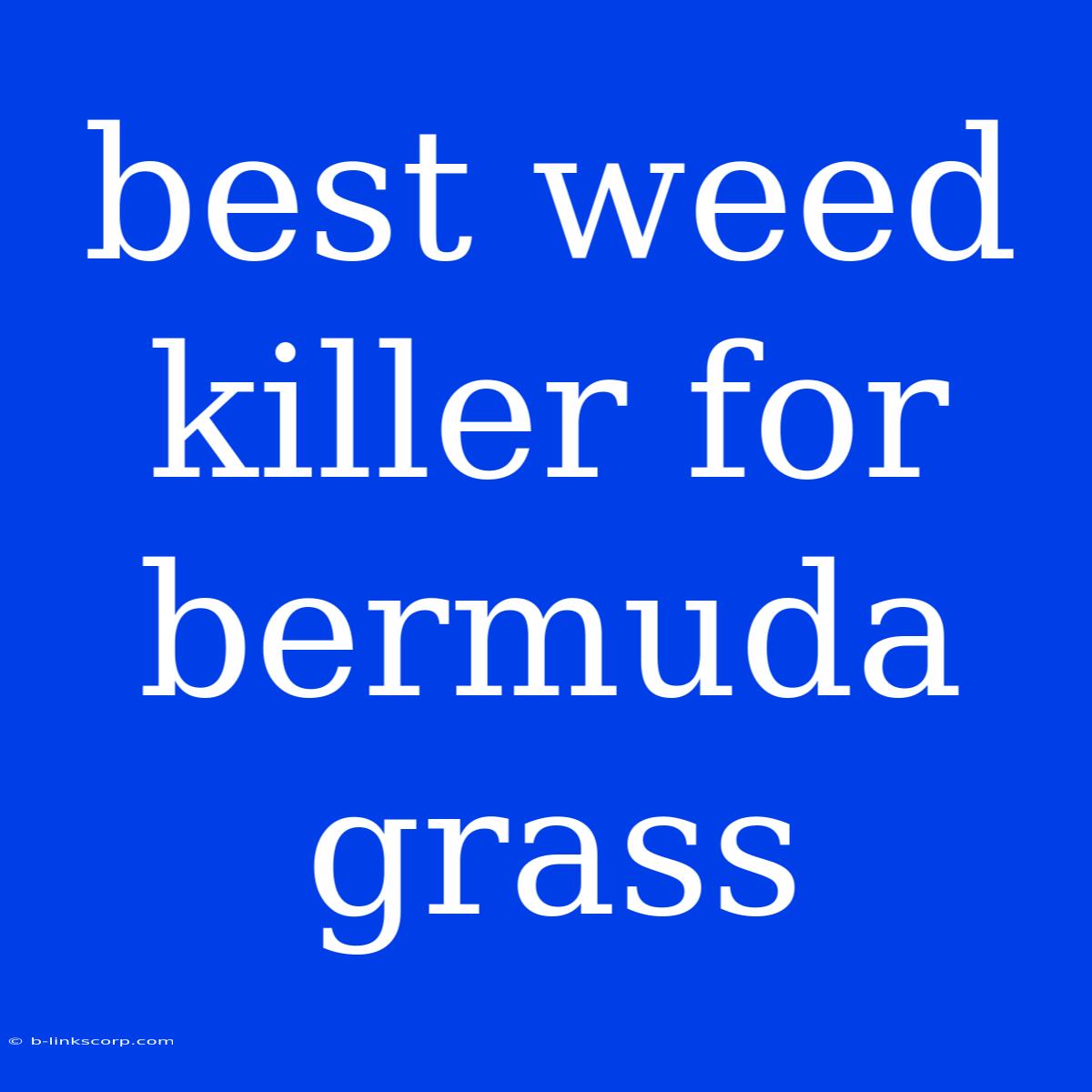 Best Weed Killer For Bermuda Grass