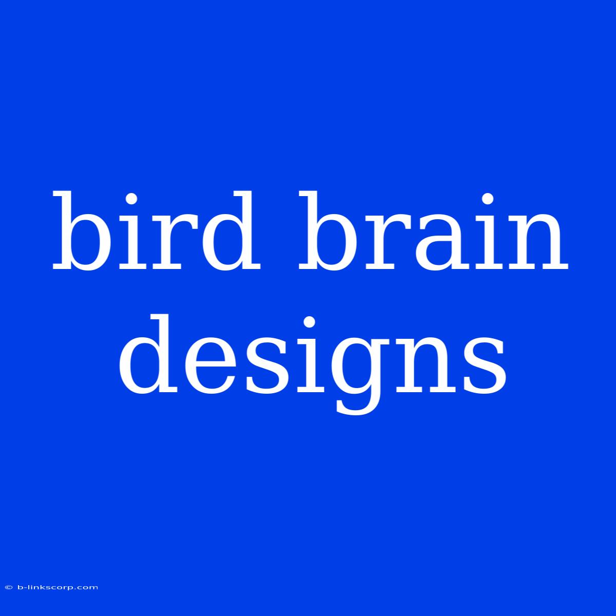 Bird Brain Designs