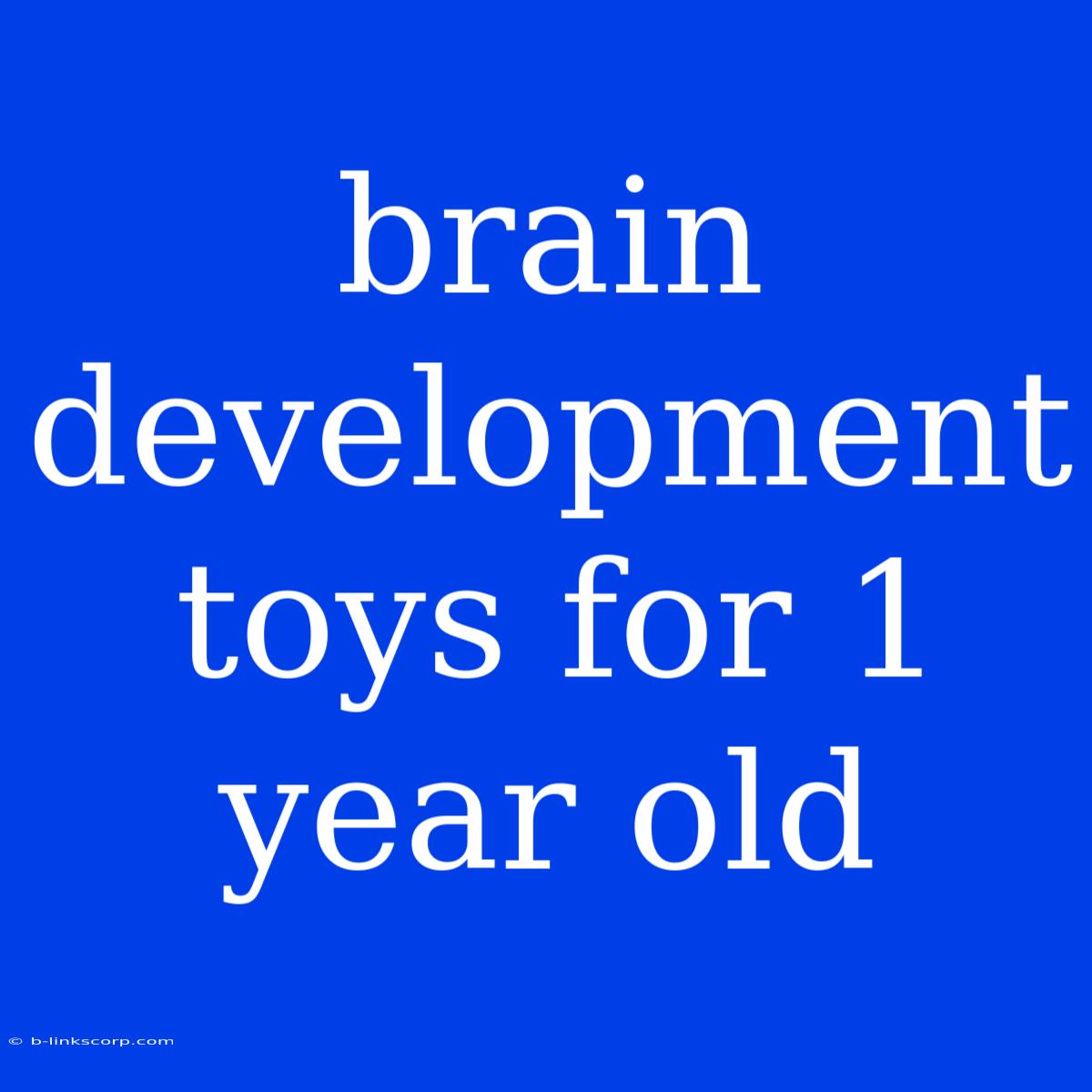 Brain Development Toys For 1 Year Old