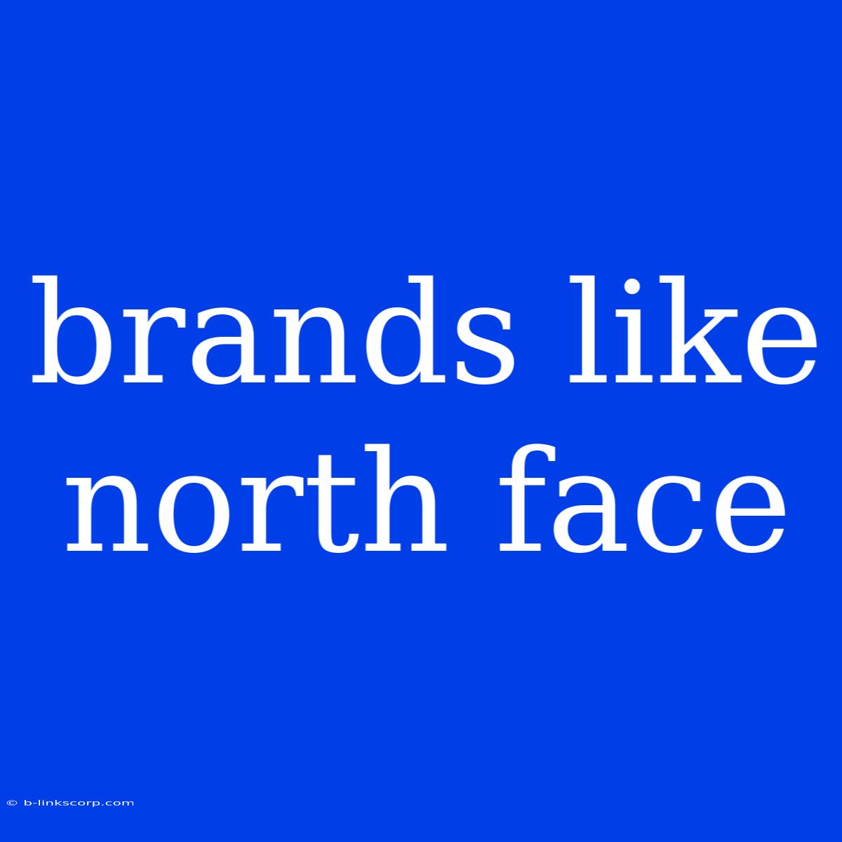 Brands Like North Face