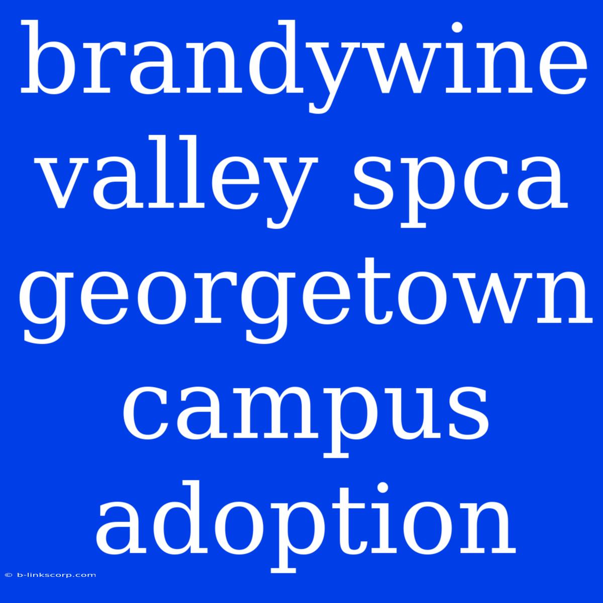 Brandywine Valley Spca Georgetown Campus Adoption