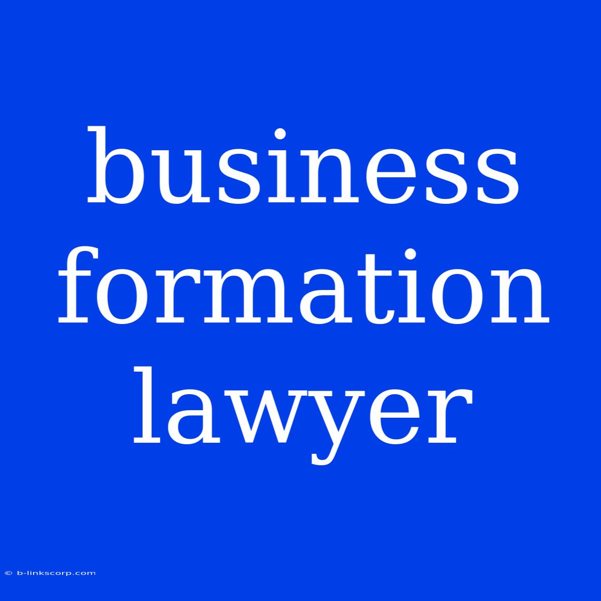 Business Formation Lawyer