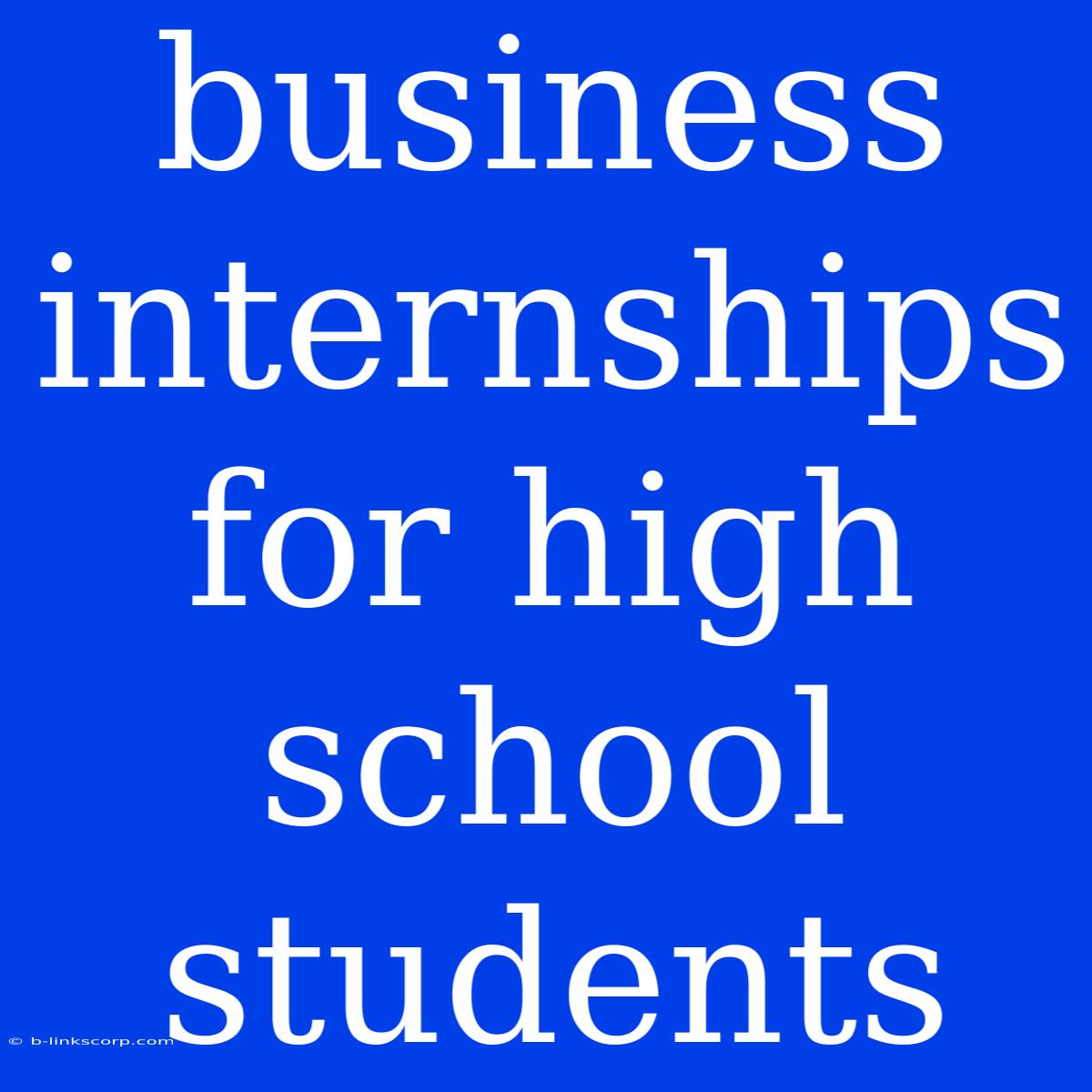 Business Internships For High School Students