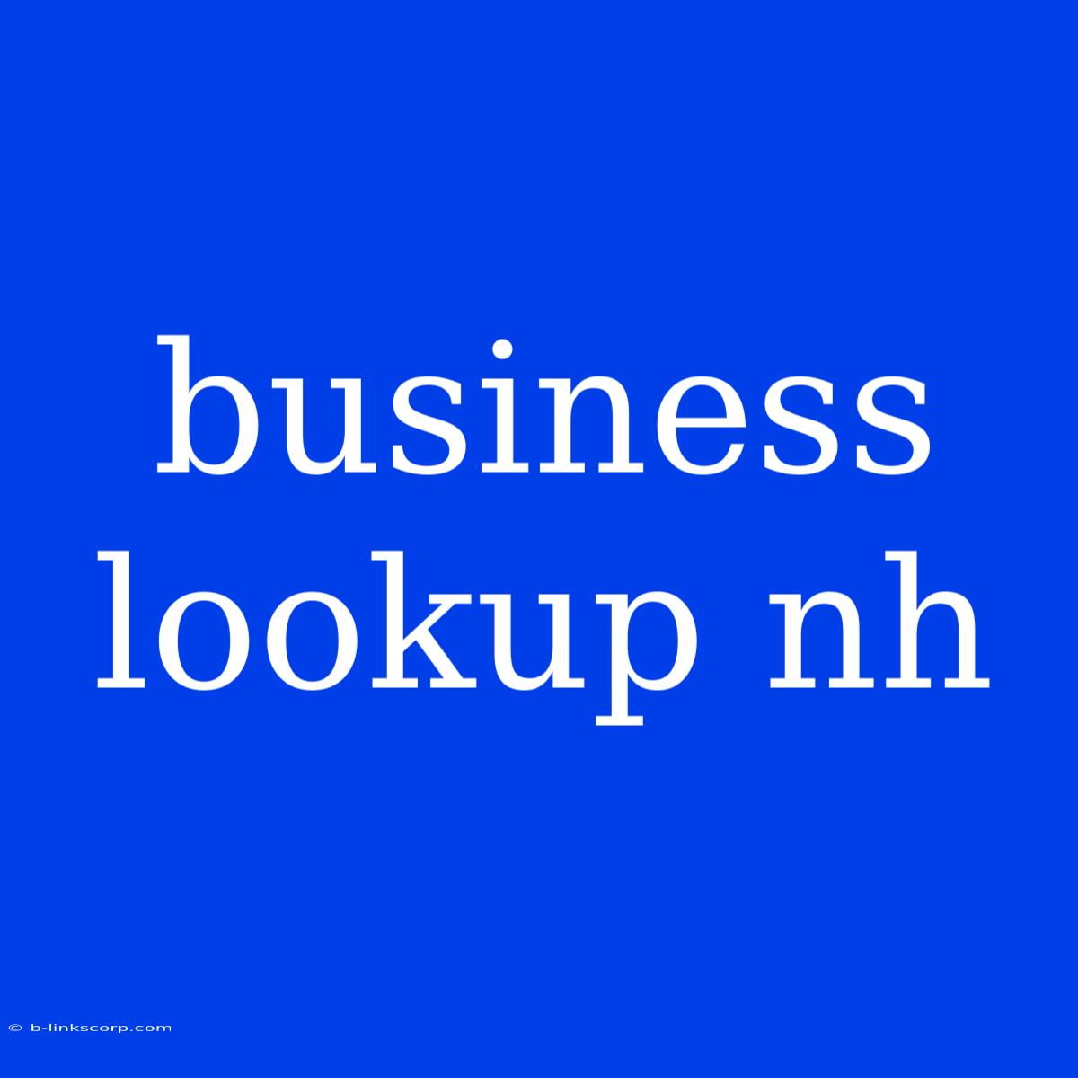 Business Lookup Nh