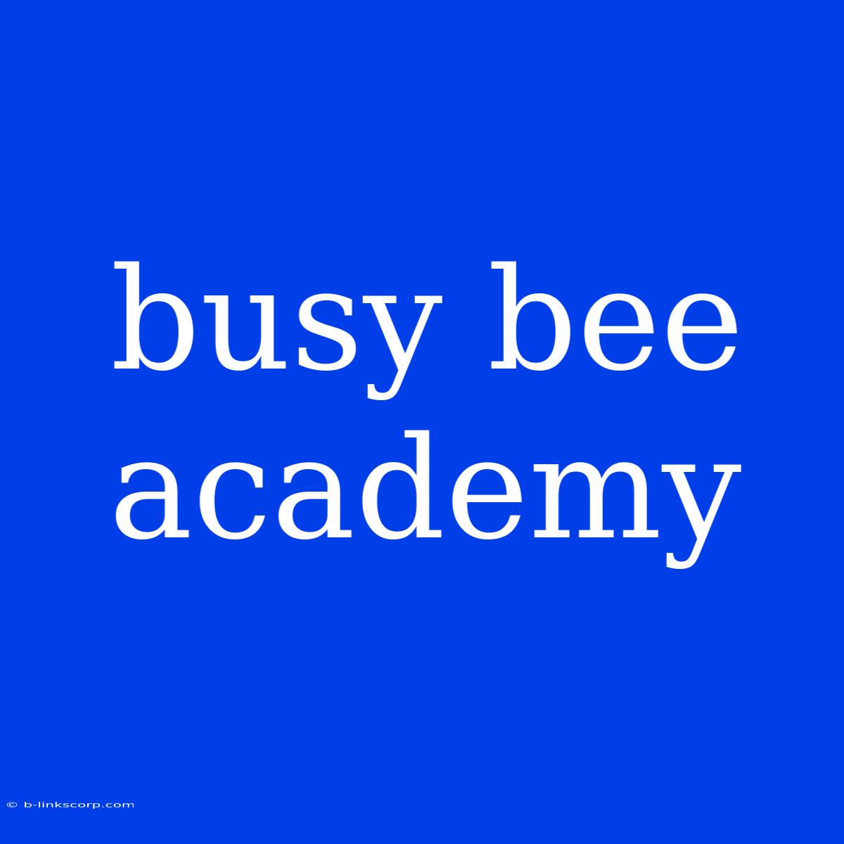 Busy Bee Academy