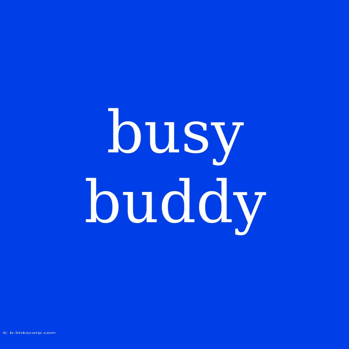 Busy Buddy