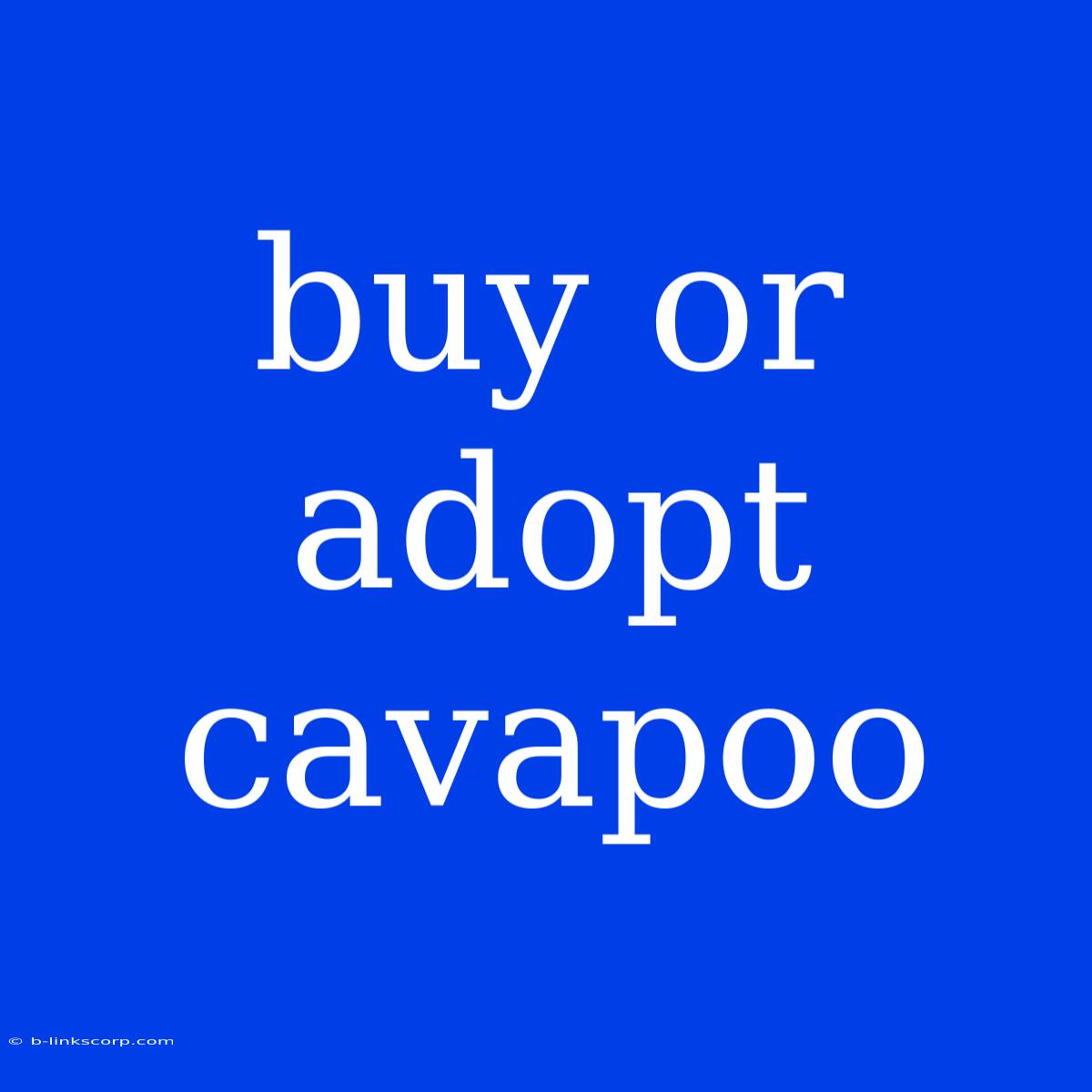 Buy Or Adopt Cavapoo