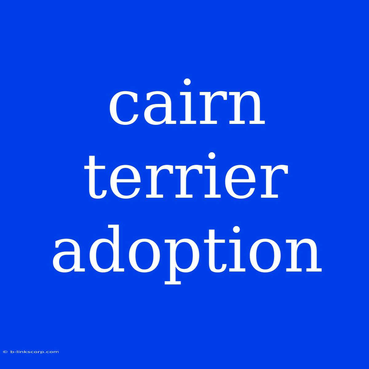 Cairn Terrier Adoption