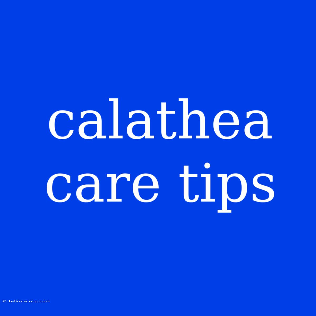 Calathea Care Tips