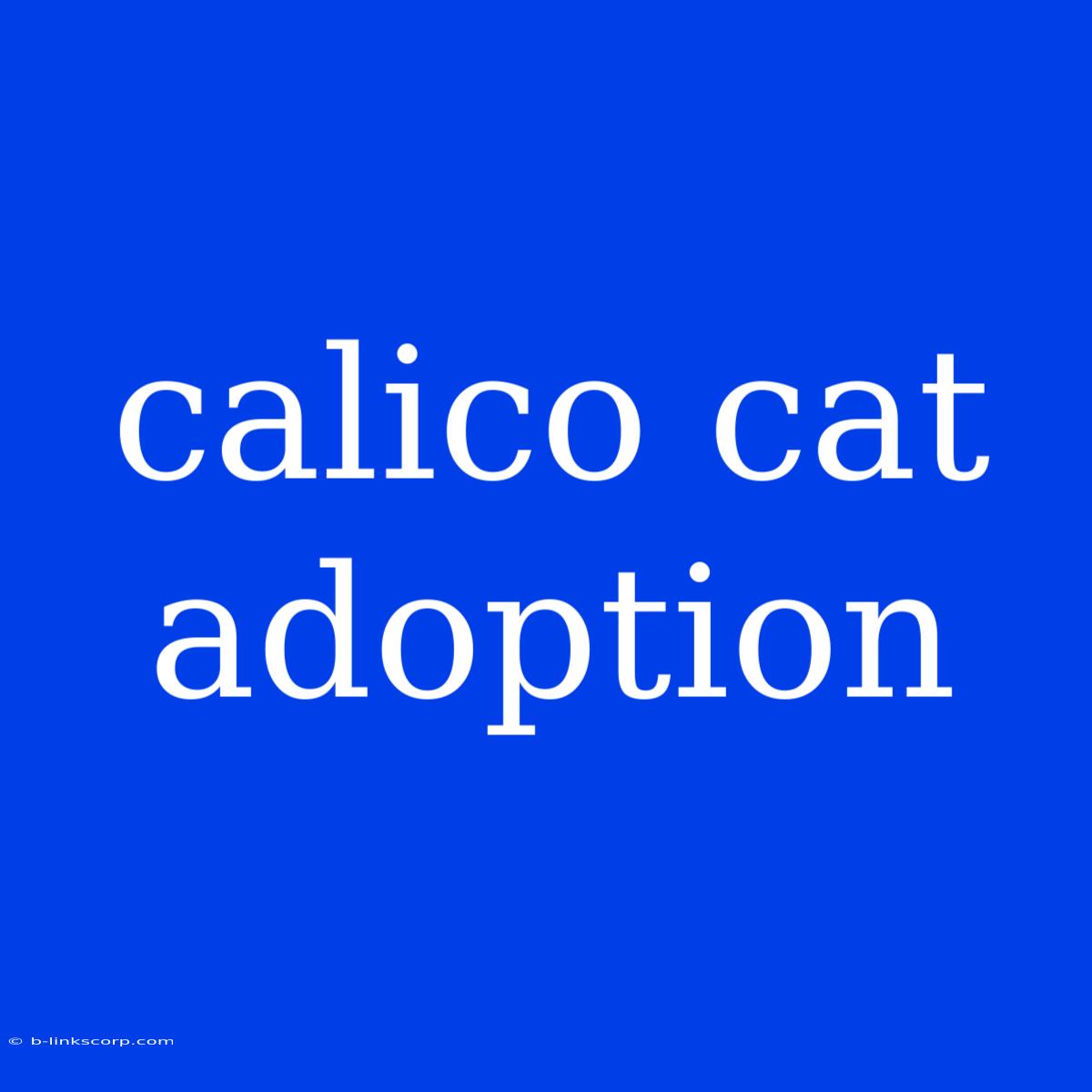 Calico Cat Adoption